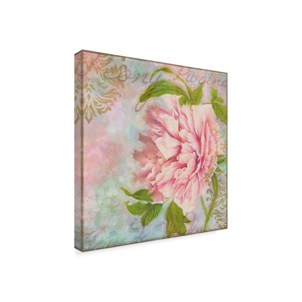 Cora Niele 'Peony Centered' Canvas Art,24x24